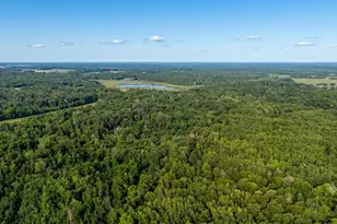Tbd Skyview St, Brook Park, MN 55007 - Photo 1