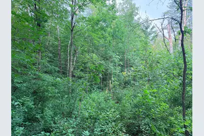 Tbd Skyview Street, Brook Park, MN 55007 - Photo 11