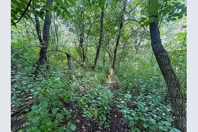 Tbd County 45 Boulevard, Red Wing, MN 55066 - Photo 25