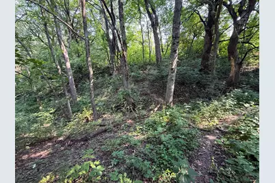 Tbd County 45 Boulevard, Red Wing, MN 55066 - Photo 23