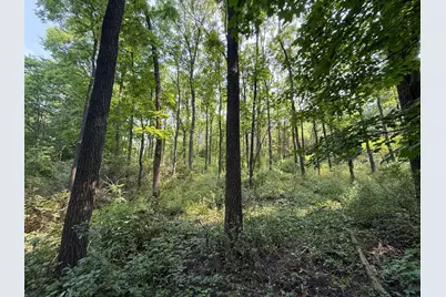 Tbd County 45 Boulevard, Red Wing, MN 55066 - Photo 15