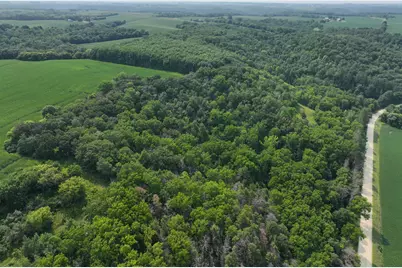 Tbd County 45 Boulevard, Red Wing, MN 55066 - Photo 11