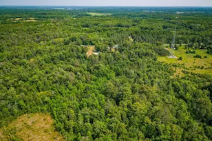 1723 Scenic Hwy NE, Pennington, MN 56663 - Photo 23