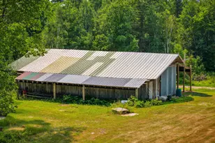 1723 Scenic Hwy NE, Pennington, MN 56663 - Photo 9