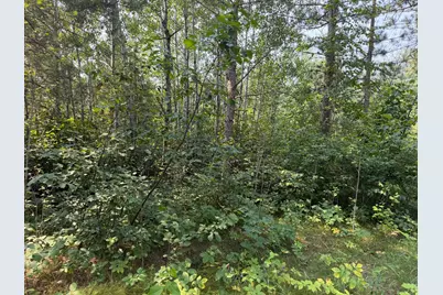 Tbd Cottingham Drive, Staples, MN 56479 - Photo 27