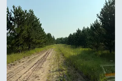 Tbd Co Rd 7, Staples, MN 56479 - Photo 29