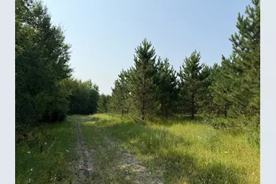 Tbd Co Rd 7, Staples, MN 56479 - Photo 47