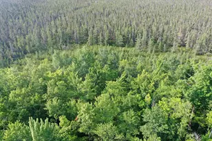 W9527 Mile Rd, Ladysmith, WI 54848 - Photo 39