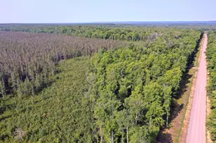 W9527 Mile Rd, Ladysmith, WI 54848 - Photo 41