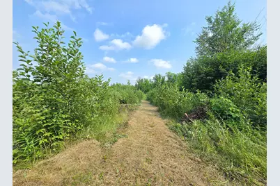 65547 Duxbury Road, Sandstone, MN 55072 - Photo 11