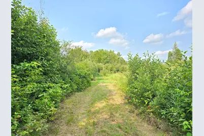 65547 Duxbury Road, Sandstone, MN 55072 - Photo 9