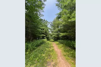 Xxxxx Lily Lake Inn Road, Webster, WI 54893 - Photo 7