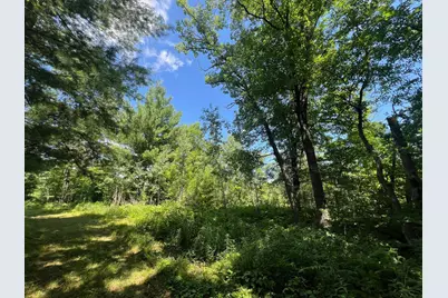 Xxxxx Lily Lake Inn Road, Webster, WI 54893 - Photo 15