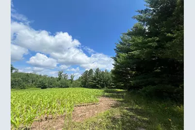 Xxxxx Lily Lake Inn Road, Webster, WI 54893 - Photo 11