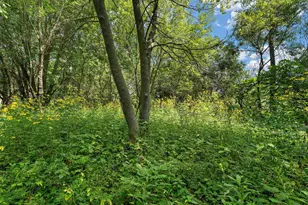 330 Creekview Ct, Baldwin, WI 54002 - Photo 37