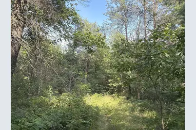 S13160 Camp Road, Fairchild, WI 54741 - Photo 17