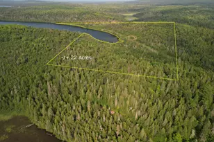 9041 Cramer Rd, Finland, MN 55603 - Photo 3