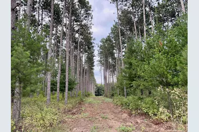 (Lot 1) Tbd Tulip Street NW, Stanchfield, MN 55080 - Photo 1