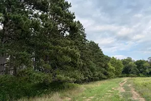 (Lot 2) Tbd Tulip Street NW, Stanchfield, MN 55080 - Photo 1
