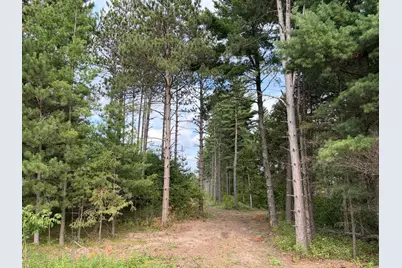 (Lot 5) Tbd Tulip Street NW, Stanchfield, MN 55080 - Photo 1