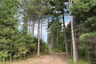 (Lot 5) Tbd Tulip Street NW, Stanchfield, MN 55080 - Photo 1