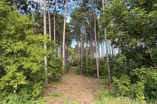 (Lot 6) Tbd Tulip Street NW, Stanchfield, MN 55080 - Photo 1
