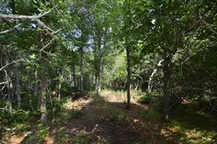 31075 N Bass Lake Rd, Danbury, WI 54830 - Photo 57