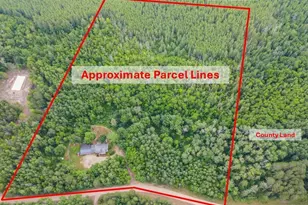 34256 Musky Dr, Laporte, MN 56461 - Photo 5
