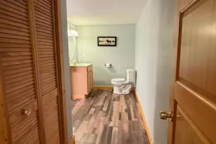 3914 Alder St NE, Bemidji, MN 56601 - Photo 33