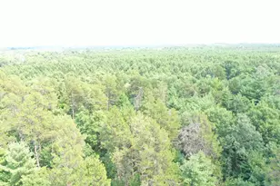 20654 Bucktail Dr, Grantsburg, WI 54840 - Photo 45