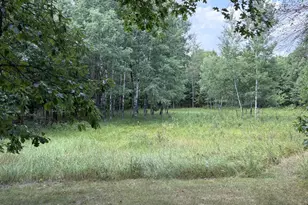 20654 Bucktail Dr, Grantsburg, WI 54840 - Photo 37