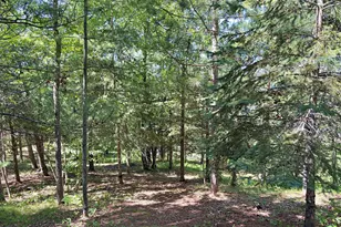 9962 Knotty Pine Dr, Park Rapids, MN 56470 - Photo 39