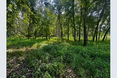 Tbd Grove Street, Le Sueur, MN 56058 - Photo 13