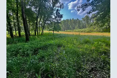 Tbd Grove Street, Le Sueur, MN 56058 - Photo 43