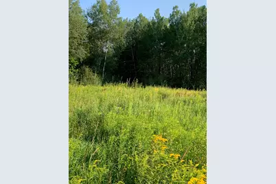 14331 395th Lane, Tamarack, MN 55787 - Photo 43