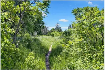 10639 Mississippi Dunes Trail S, Cottage Grove, MN 55016 - Photo 35