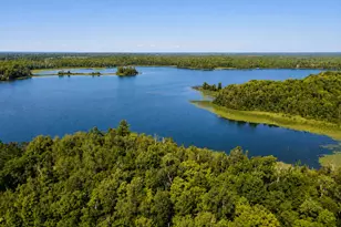 37800 Grave Lake Forest Rd, Deer River, MN 56636 - Photo 3