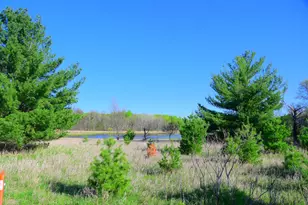 28274 Orb Dr, Browerville, MN 56438 - Photo 15