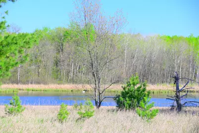 28274 Orb Drive, Browerville, MN 56438 - Photo 17