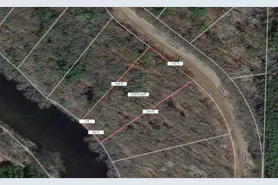 38903 Odin Court, Browerville, MN 56438 - Photo 11