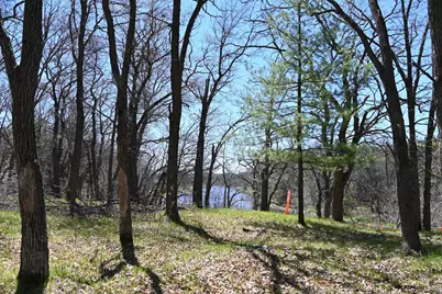 38903 Odin Court, Browerville, MN 56438 - Photo 3