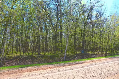 Tbd 392 Street, Fawn Lake Township, MN 56438 - Photo 13