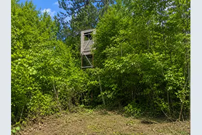 Tbd Chimney Road, Nevis, MN 56467 - Photo 9