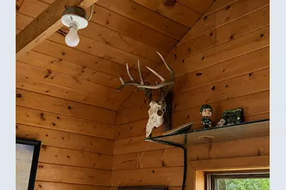 Tbd Chimney Road, Nevis, MN 56467 - Photo 11