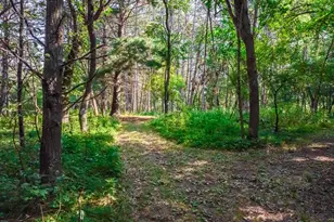 165 150th Ln NW, Andover, MN 55304 - Photo 73