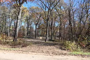 39884 Pine Island Pt Dr, Browerville, MN 56438 - Photo 1