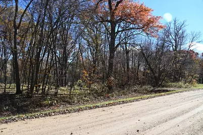 39884 Pine Island Pt Drive, Browerville, MN 56438 - Photo 9