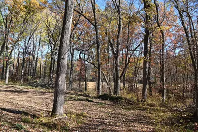 39884 Pine Island Pt Drive, Browerville, MN 56438 - Photo 5