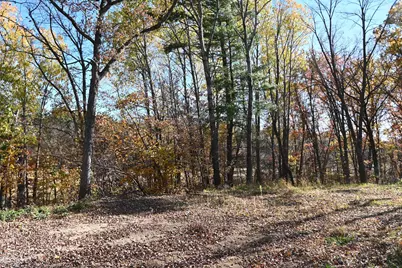 39906 Pine Island Pt Drive, Browerville, MN 56438 - Photo 11