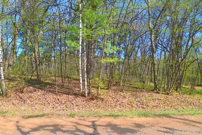 39906 Pine Island Pt Drive, Browerville, MN 56438 - Photo 27